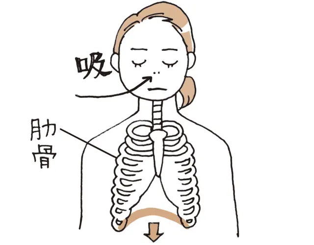 両手を肋骨のわきに当て、鼻から息を吸い、肋骨が前後左右に広がるか確認