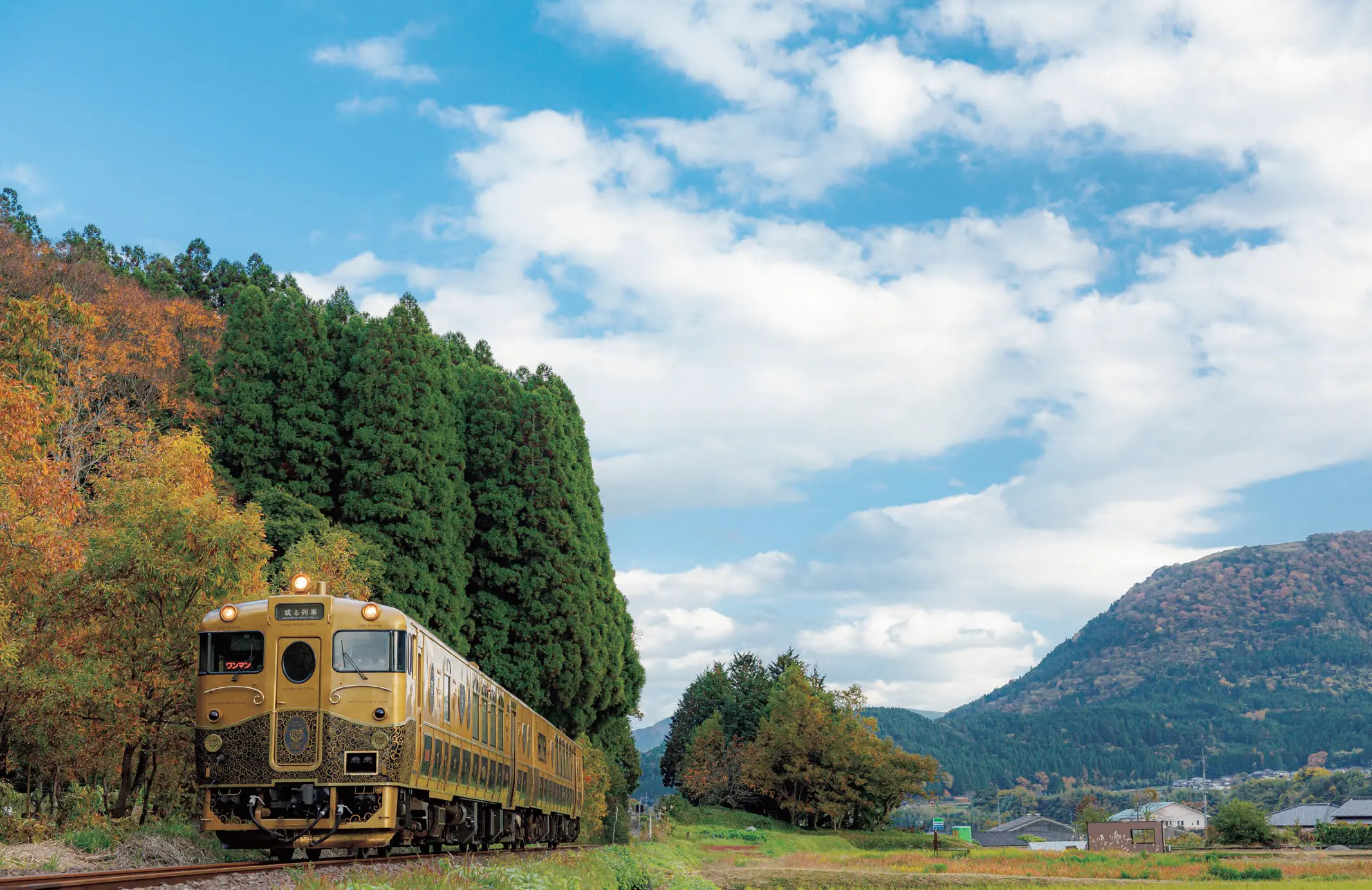 50代　ひとり旅　列車　或る列車　渋い金色に繊細な唐草模様が配されたボディ