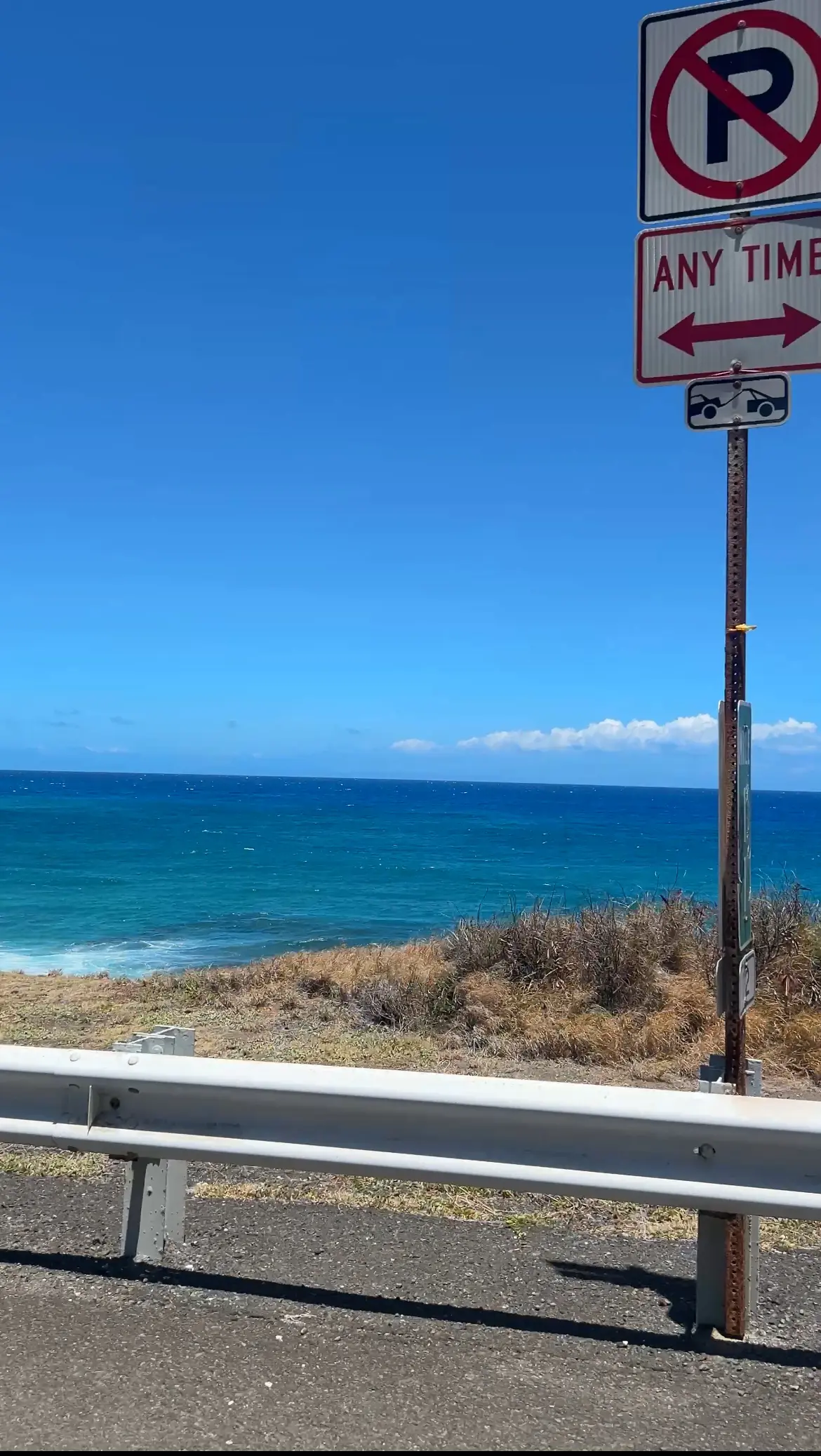 サマーバケーション in Hawaii ~カフェと海とタートルと〜_1_10
