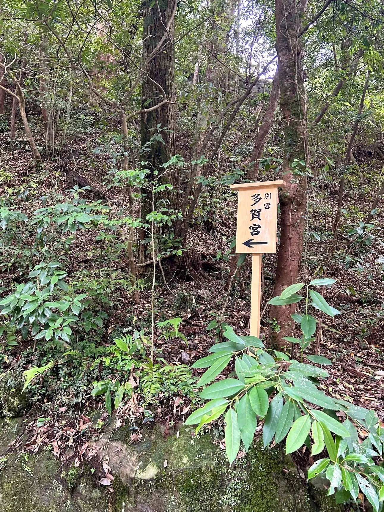 パワースポット【伊勢神宮】を巡る2日間〜外宮編_1_14
