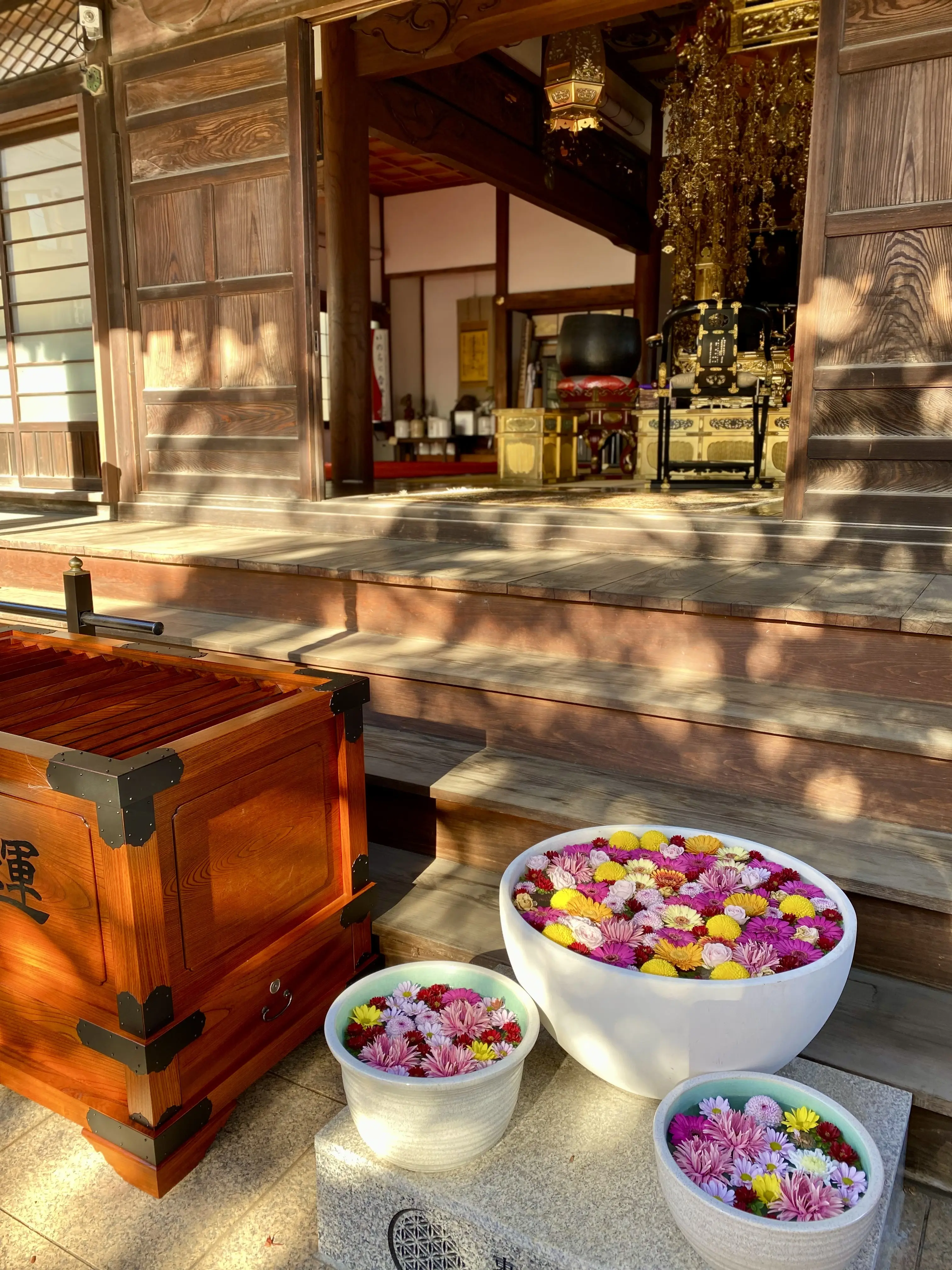 早稲田・法輪寺本堂前の花手水（菊の浮かぶ鉢）｜春夏秋冬で装いが変わる人気の花手水スポット｜早稲田散歩で訪れたいフォトジェニックなお寺