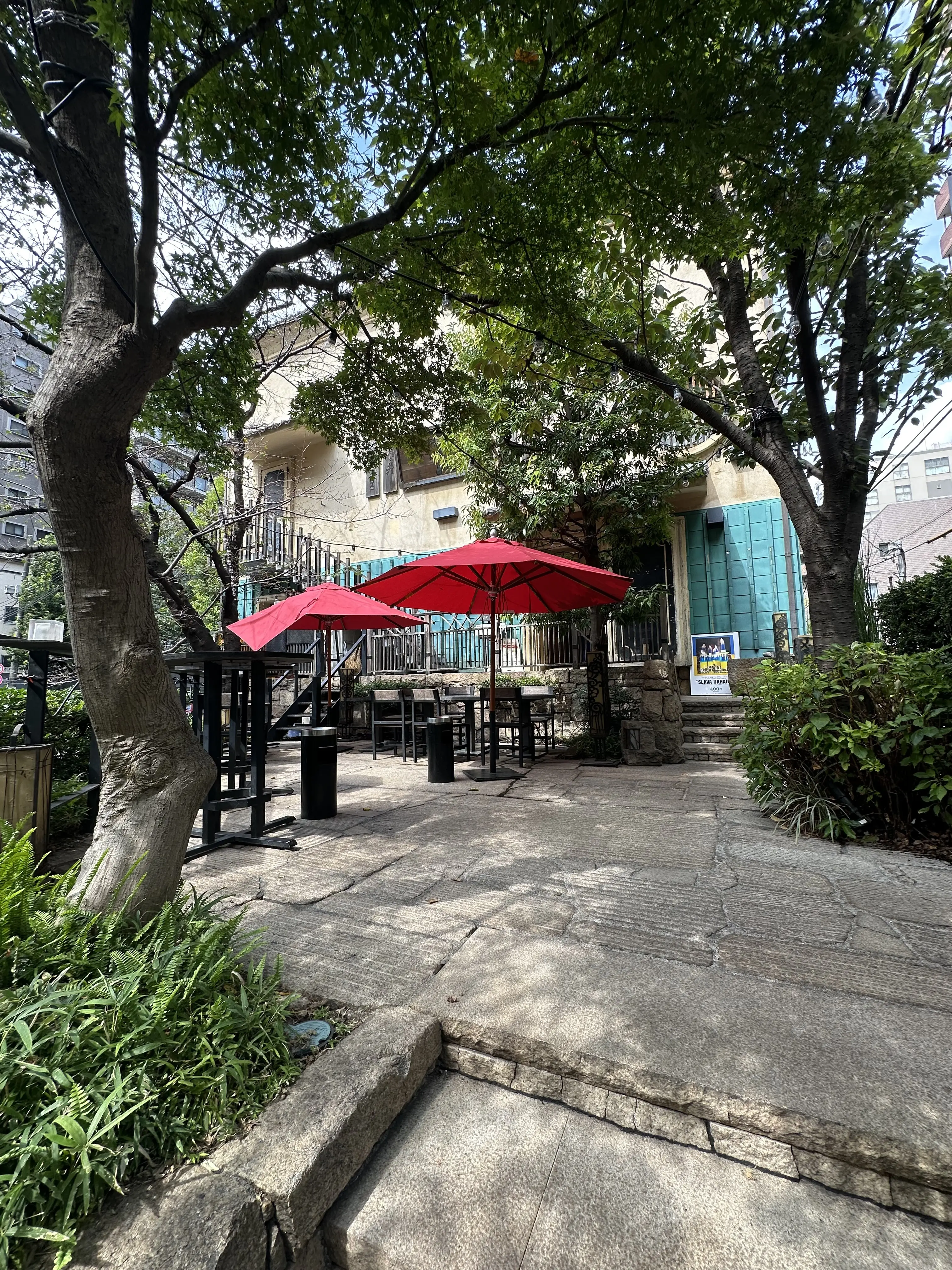 たまには居酒屋で女子会も良いんじゃない＠西麻布権八_1_1