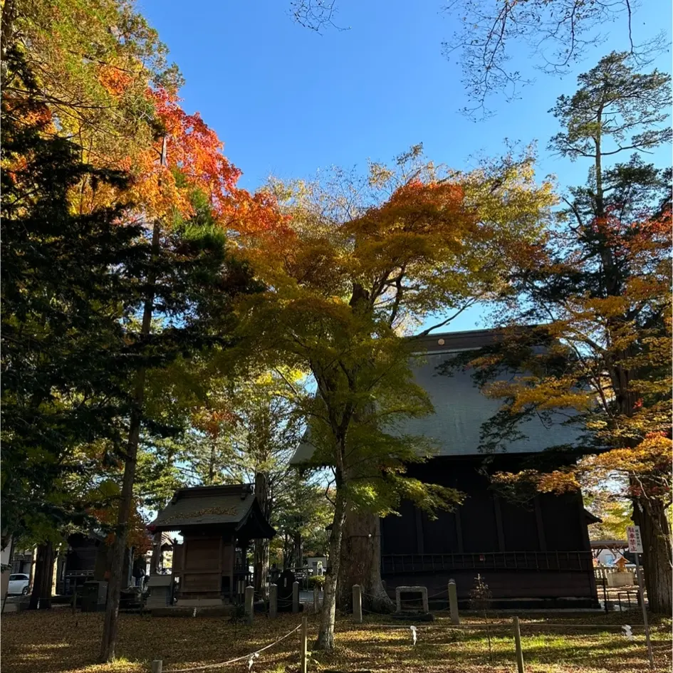 山梨県へ紅葉狩りに行ってきました_1_6-2