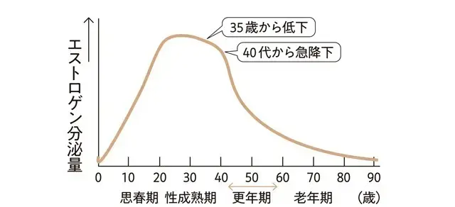 女性ホルモン分泌量