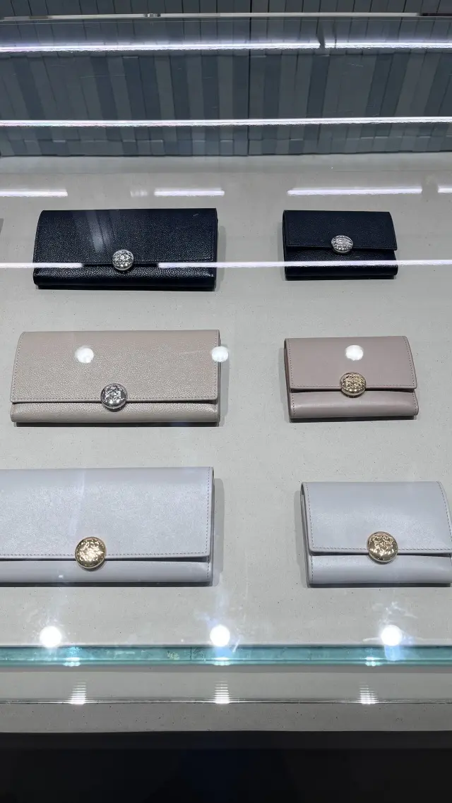 ロエベの気になるスモールウォレット_1_8