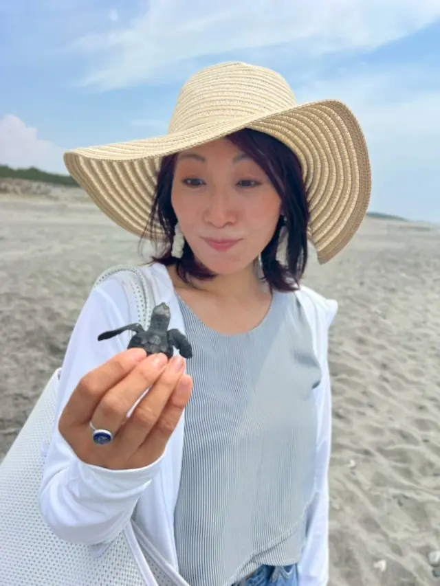 アカウミガメ