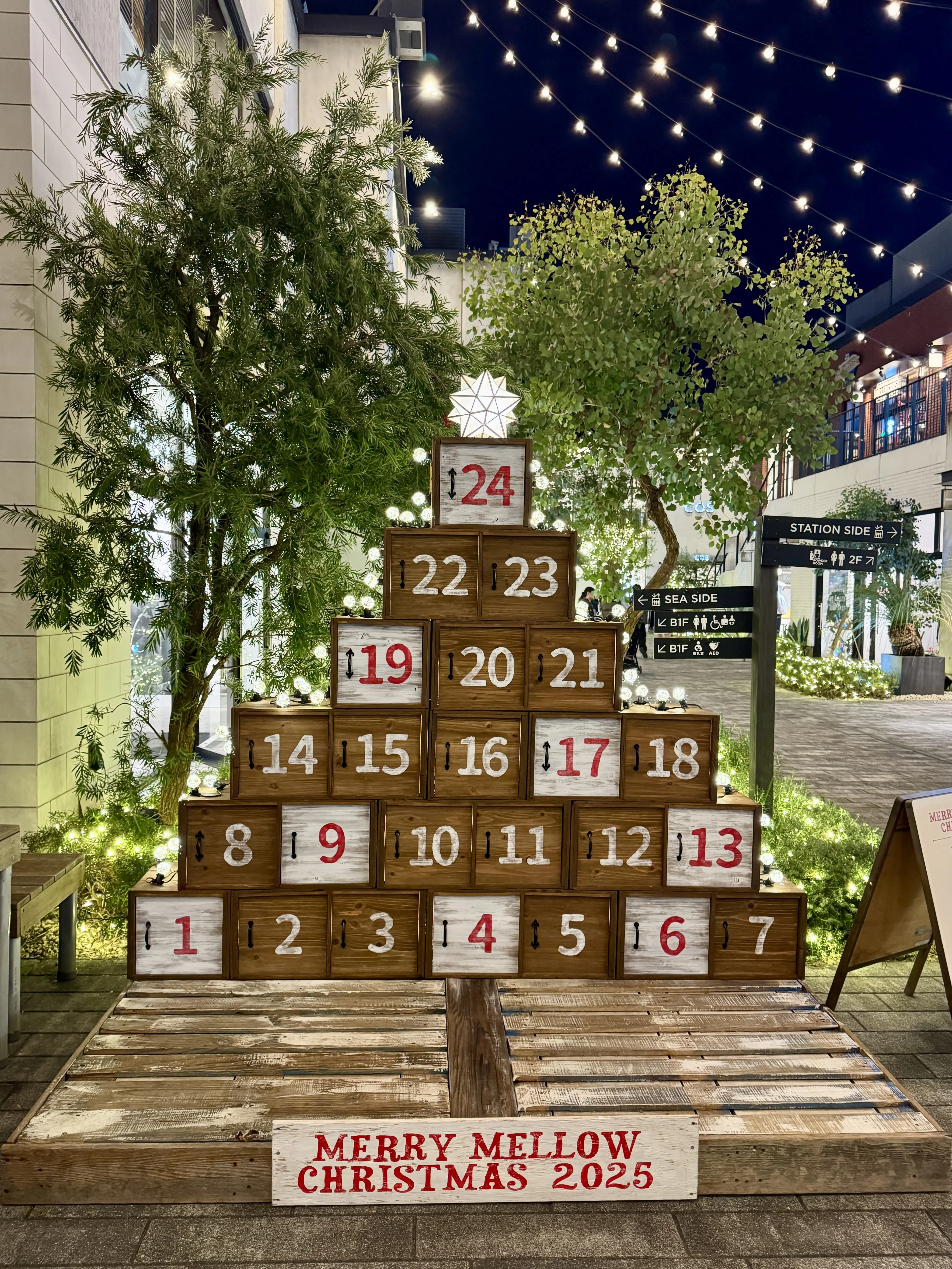 ユニクロ暖パンは冬の救世主！イルミネーション煌めくクリスマスの街歩き_1_6