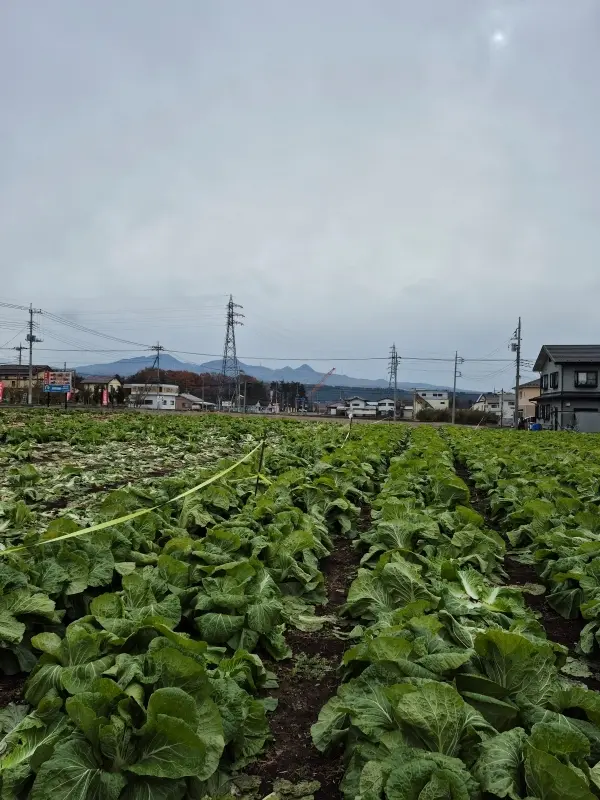早朝の丸の内＆ドキドキのミステリーツアーに参加して来ました_1_6-1