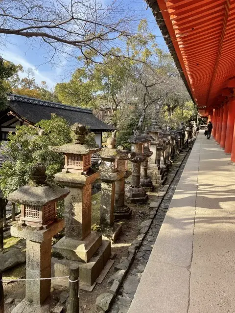 息子と奈良・京都旅行Part１_1_6-3
