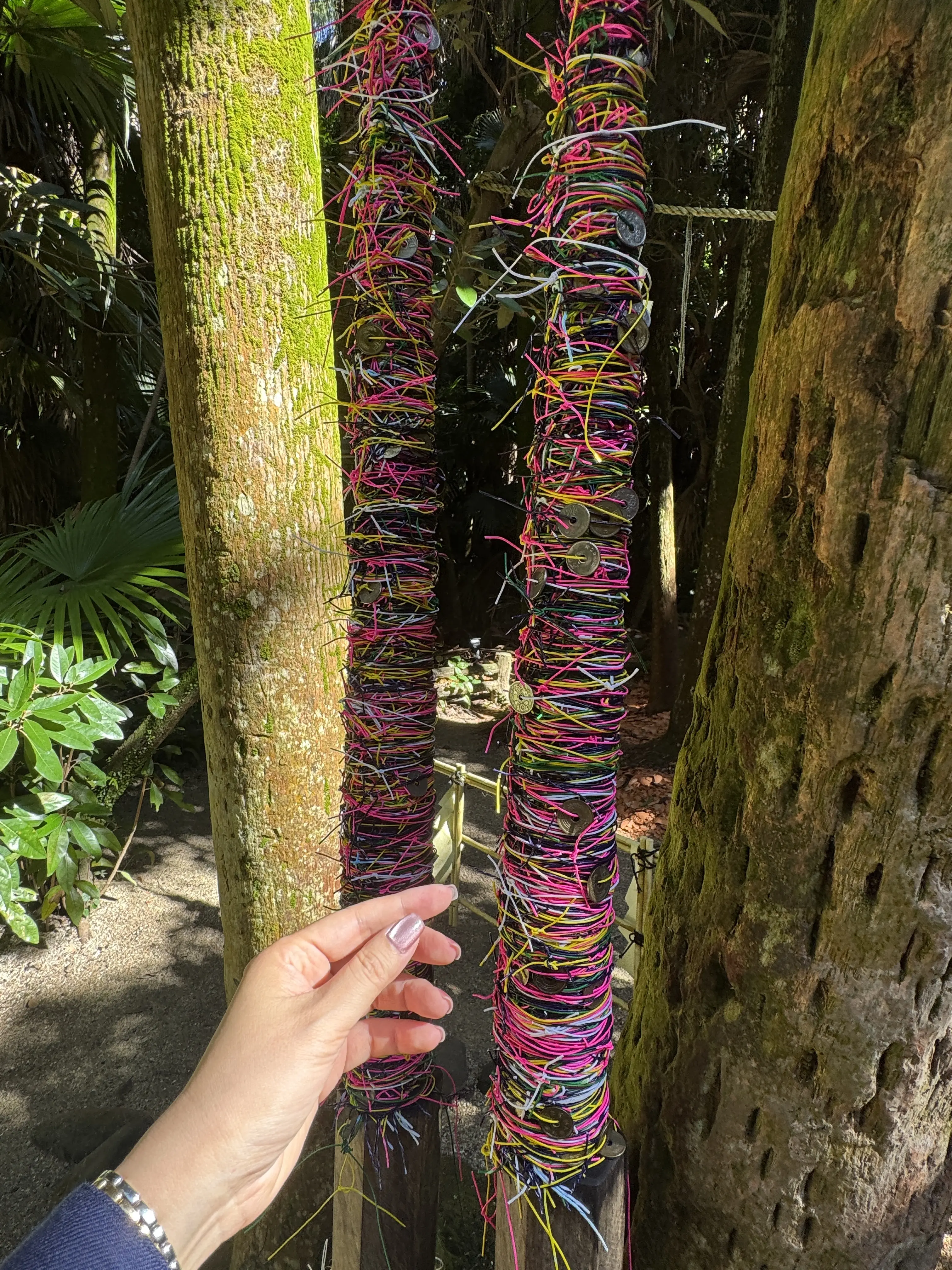 青島神社　むすびこより