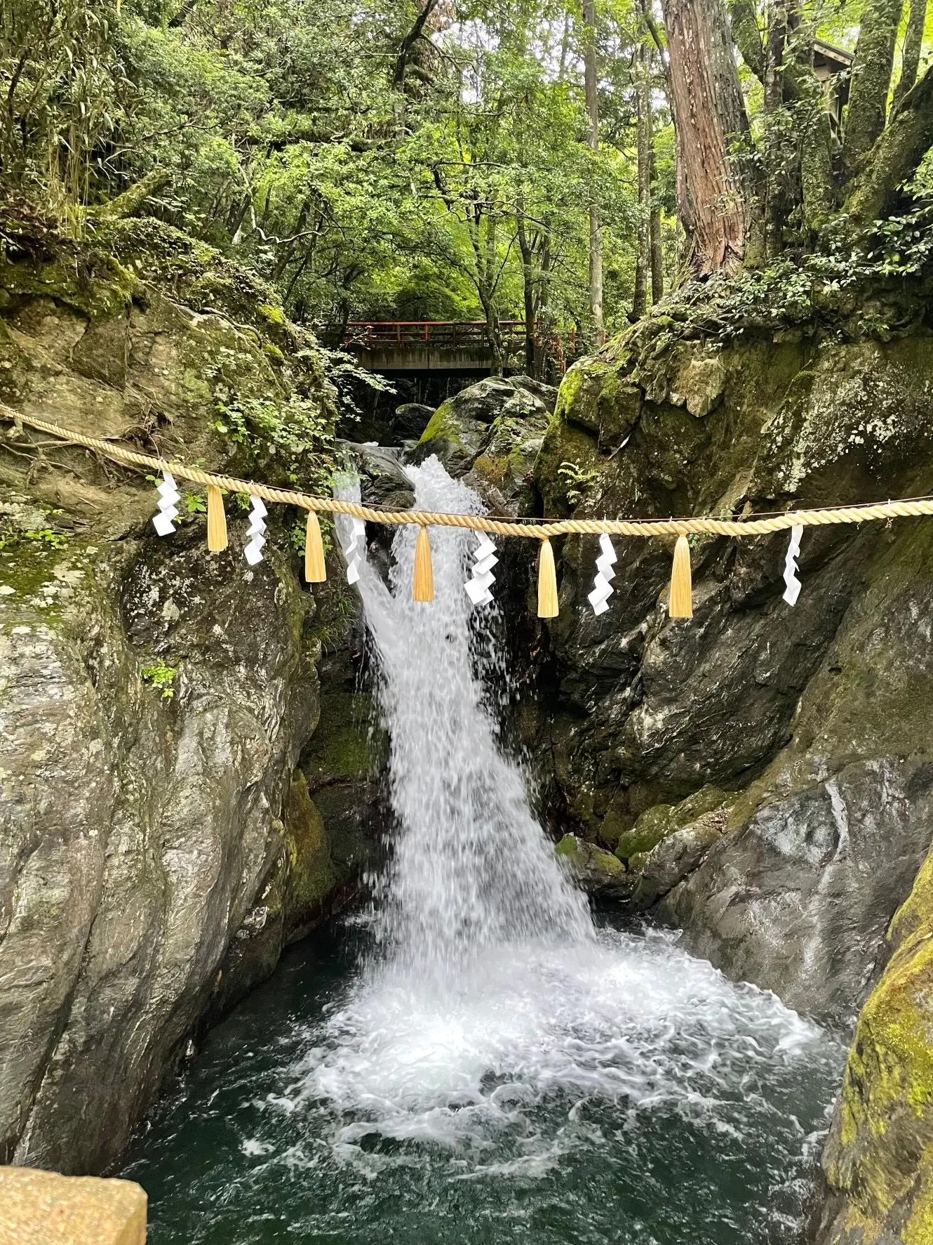 奈良県吉野に癒しのドライブ旅行　パート③_1_4