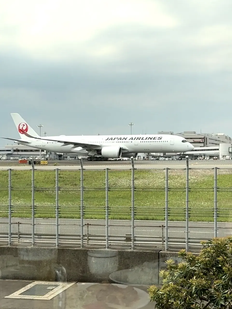 ブルーコーナーUC店 飛行機目の前