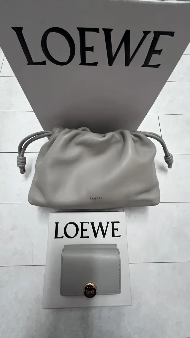 ロエベの気になるスモールウォレット_1_14