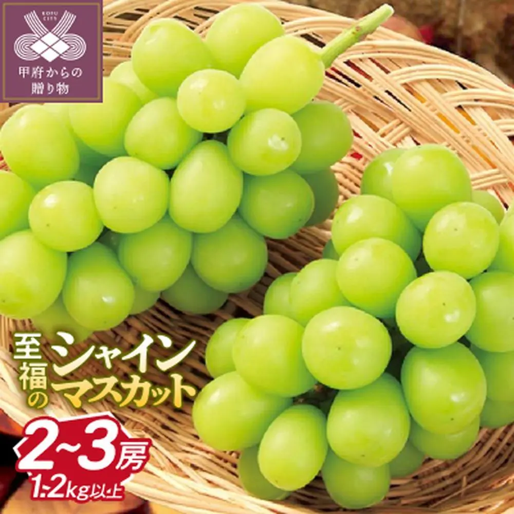 ふるさと納税　山梨県甲府市　シャインマスカット