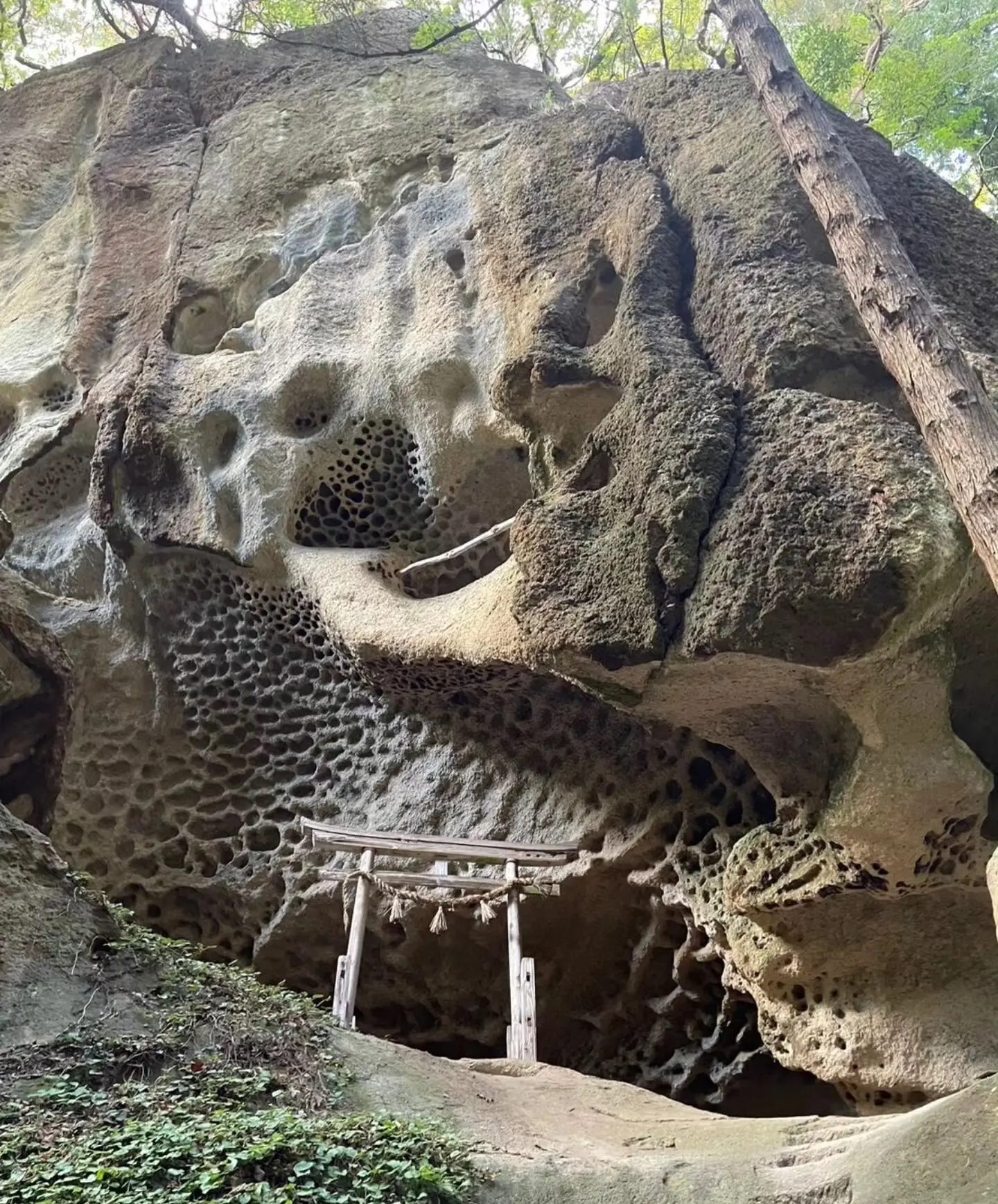 峯の浦・垂水遺跡