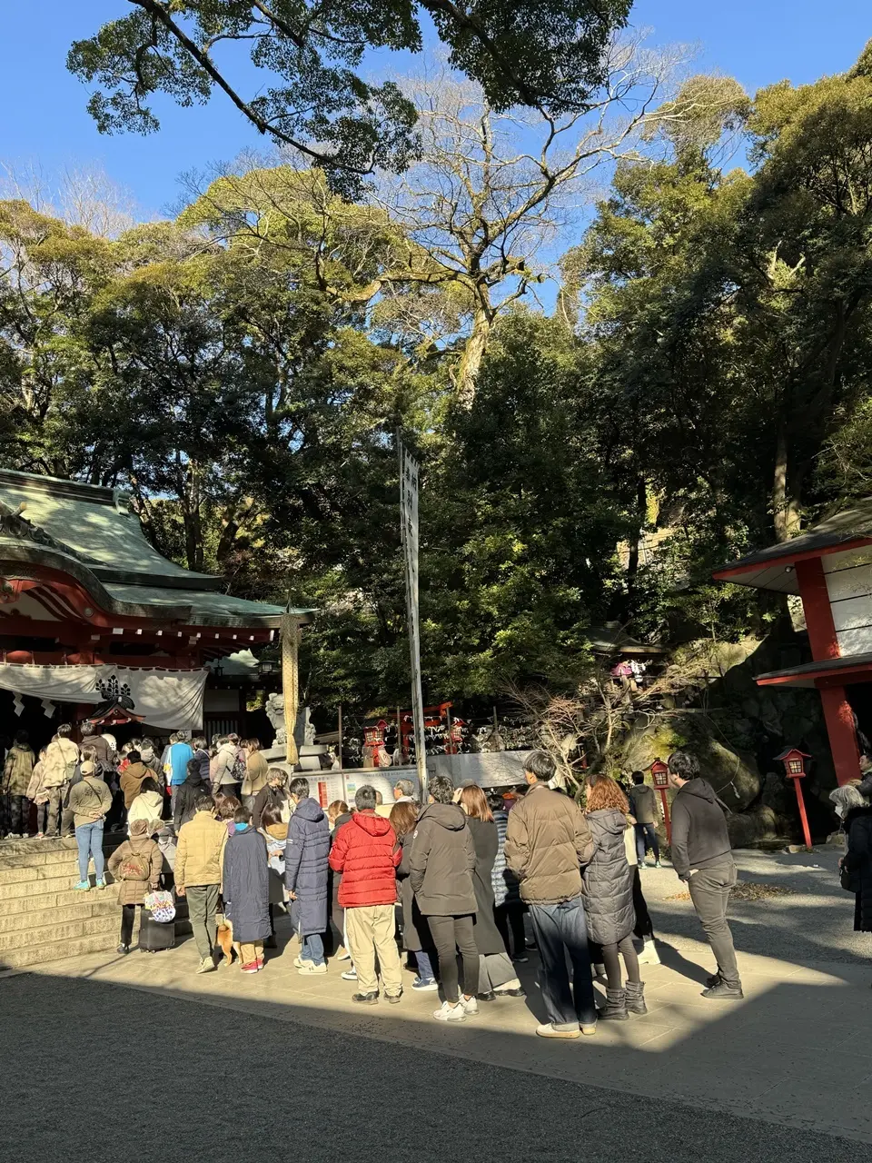 来宮神社境内