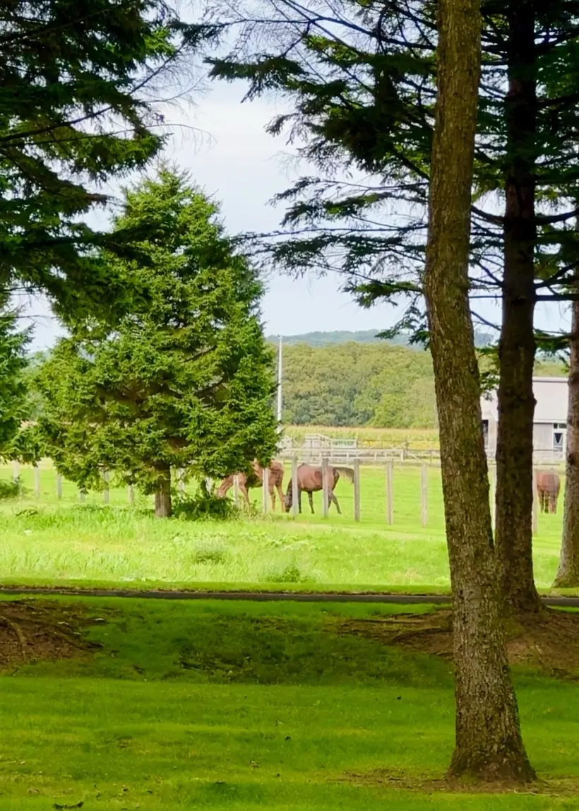 絶景と美食を堪能！北海道の名門コースを巡る大人のゴルフ旅_1_20