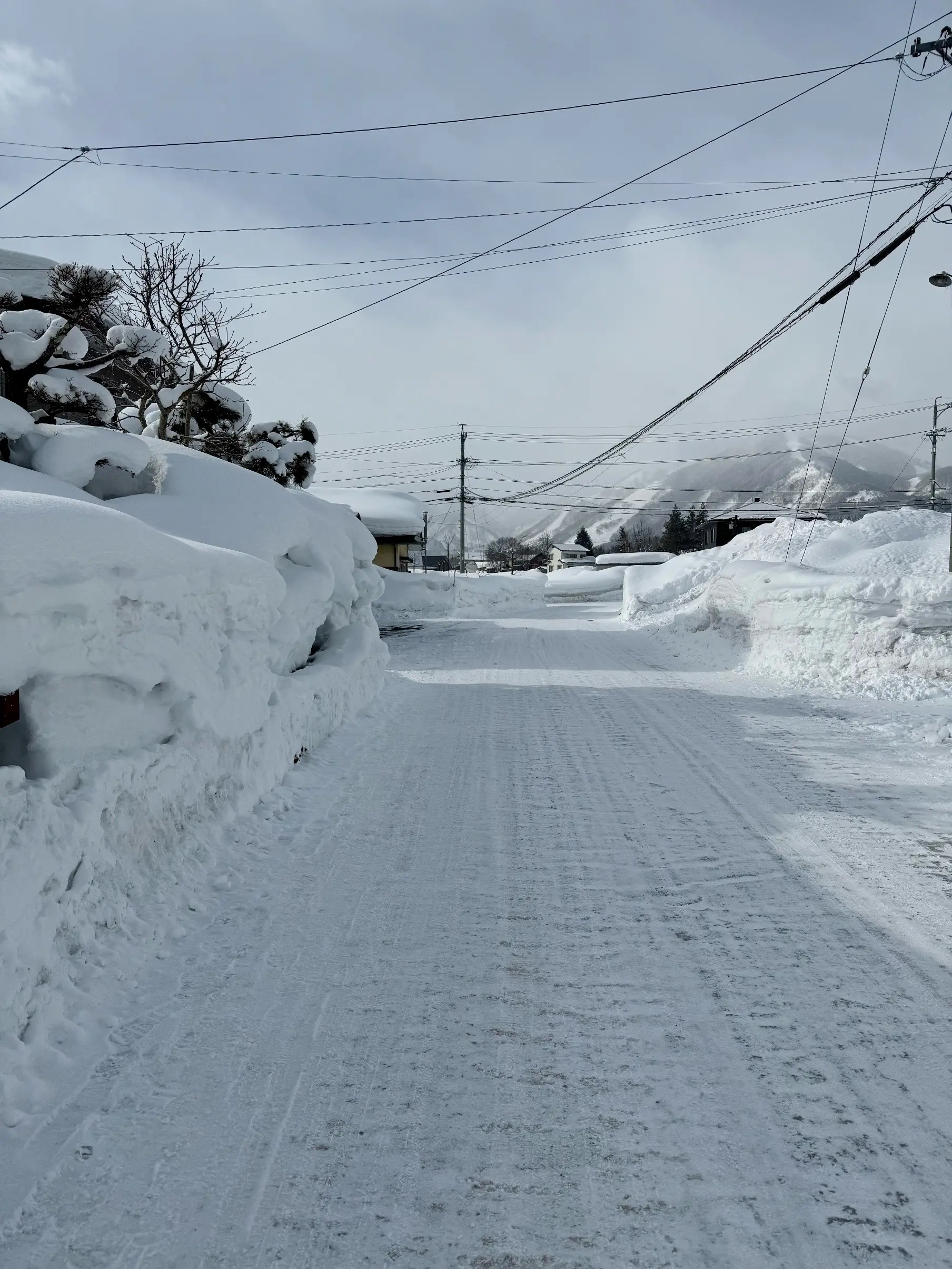 冬の白馬 雪景色とおしゃれカフェで過ごす時間を楽しむ旅_1_52