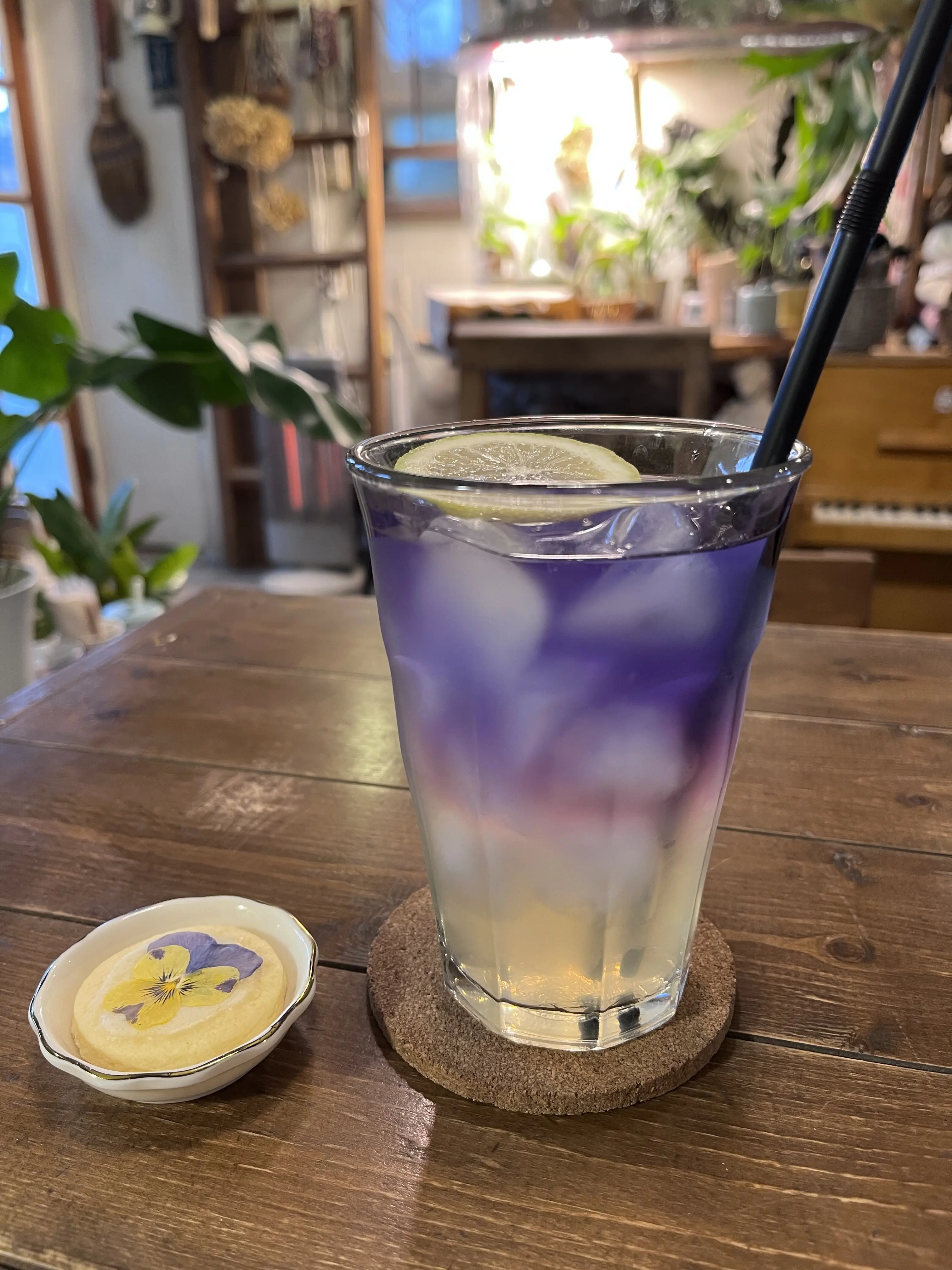 今年は早めのクリスマスリース作り_1_11