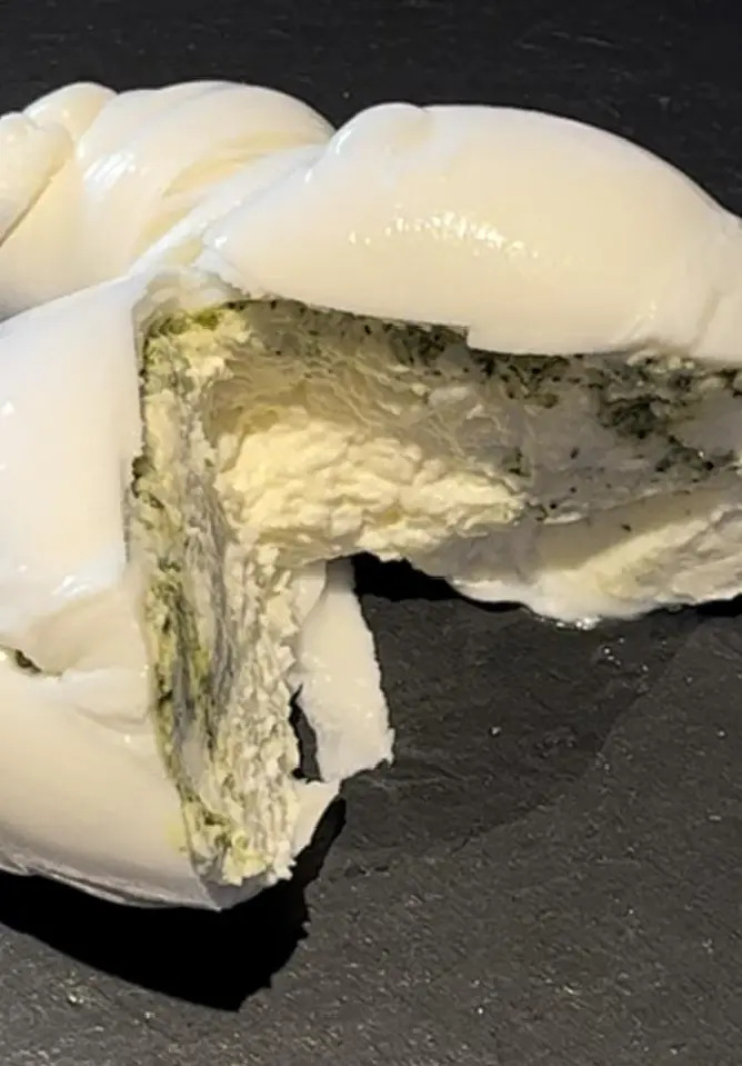 ジェノベーゼのブッラータチーズ