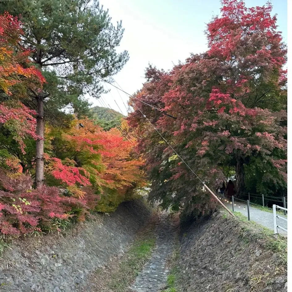 もみじ回廊。
