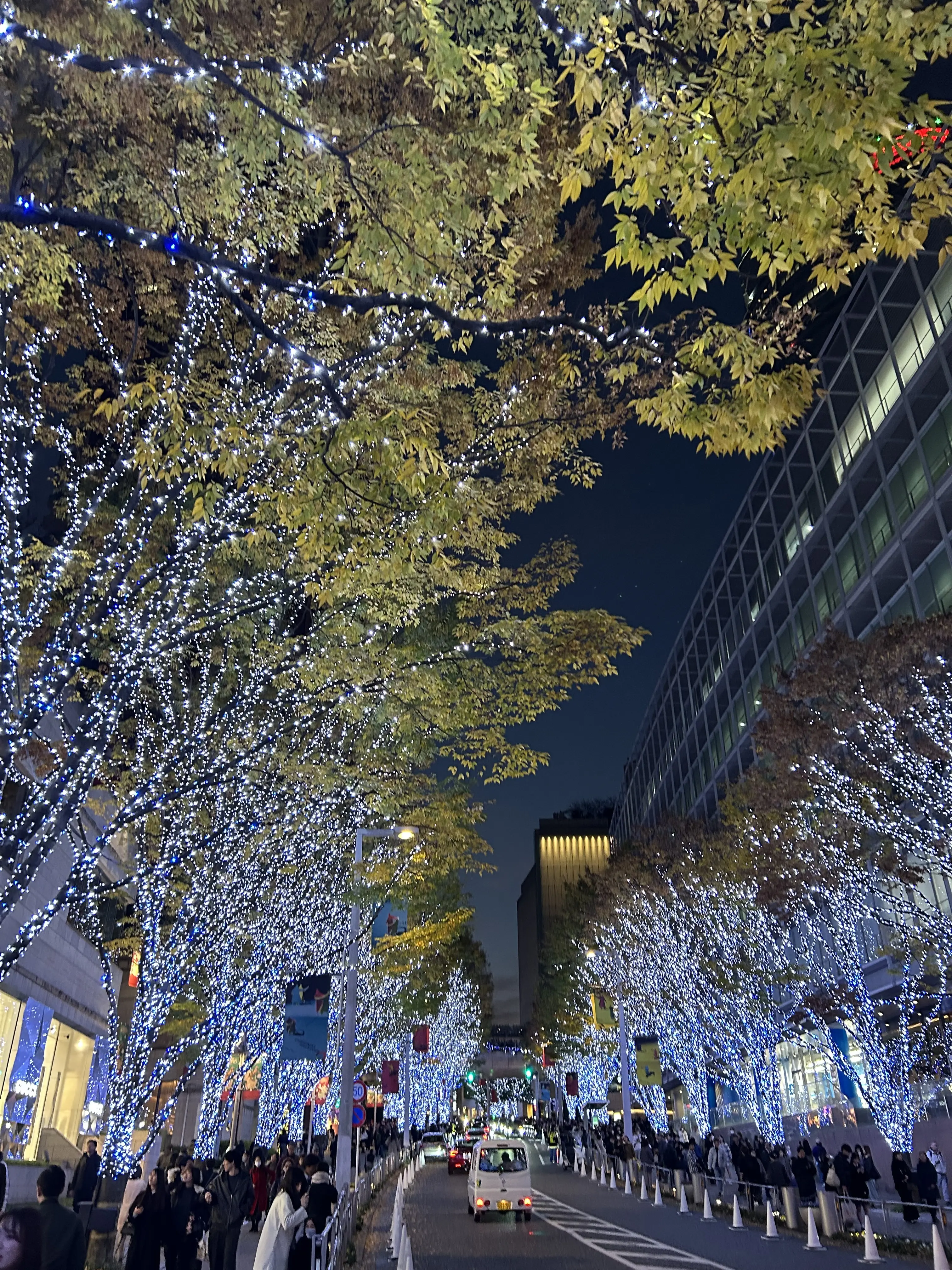 “心地よさ”と“きちんと感”が叶うきれいめスウェットパンツ_1_11