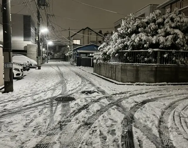 雪　夜道