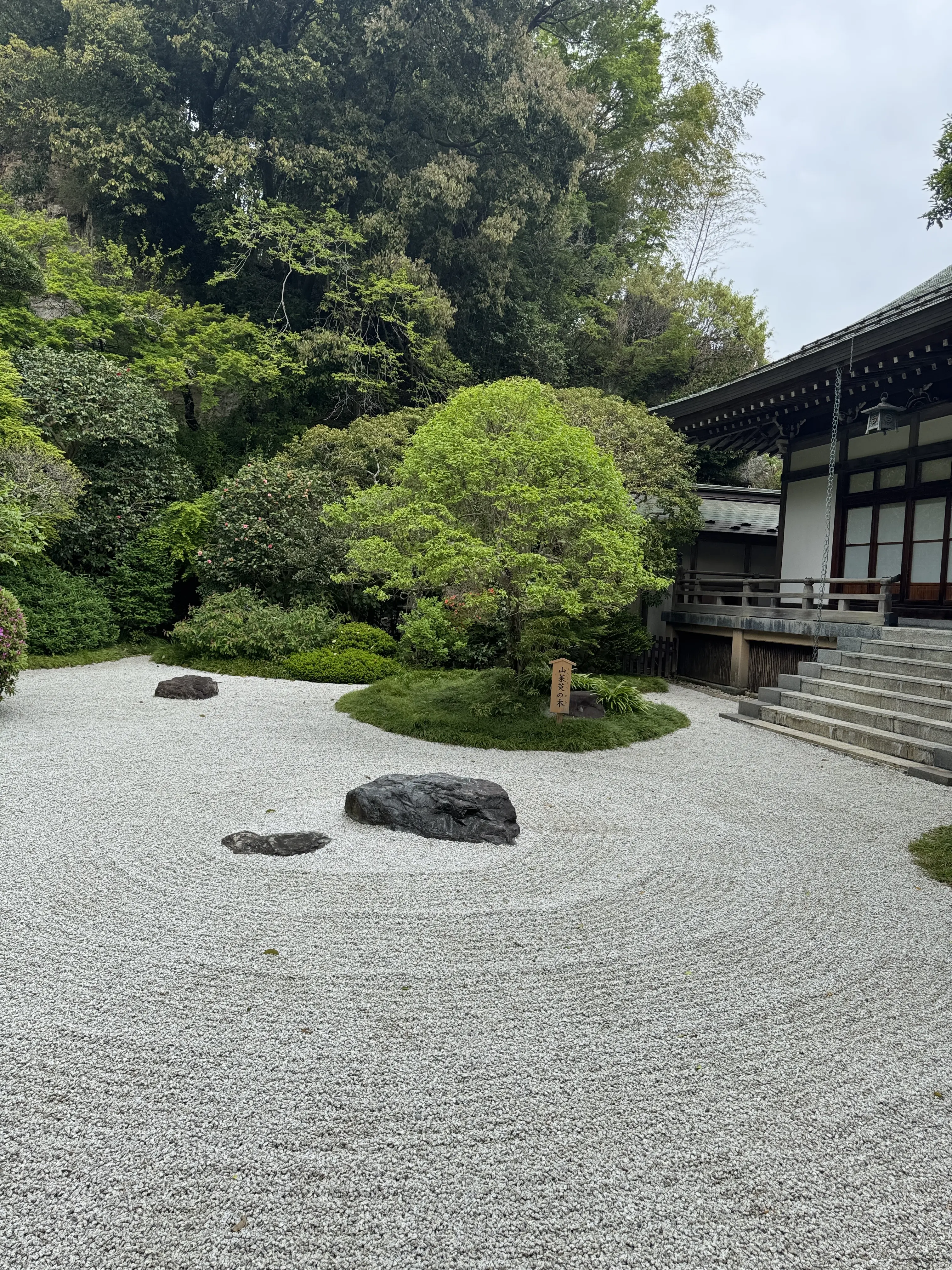 新緑の清々しい風を感じに鎌倉へ🌿_1_4