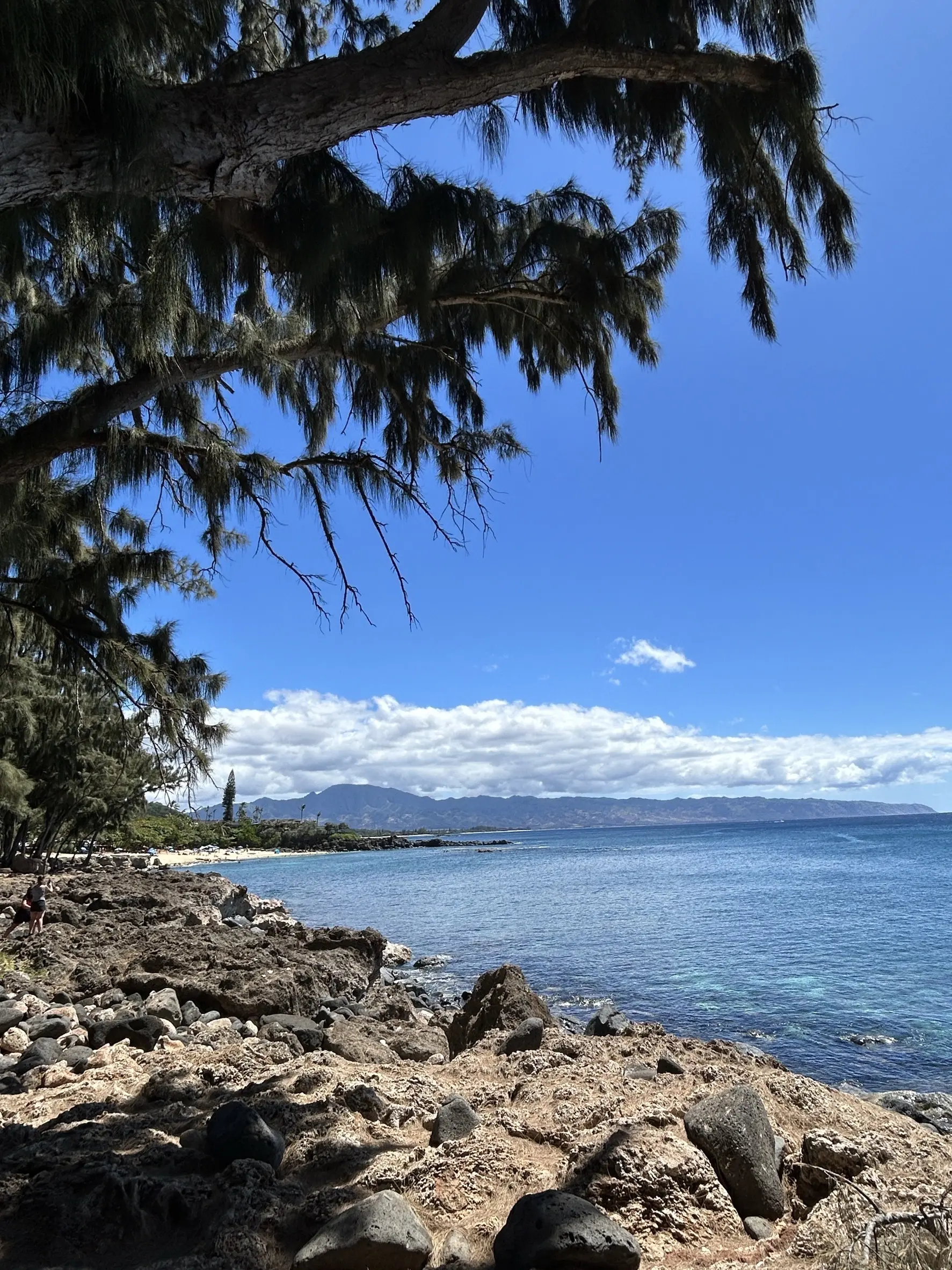 サマーバケーション in Hawaii ~カフェと海とタートルと〜_1_14