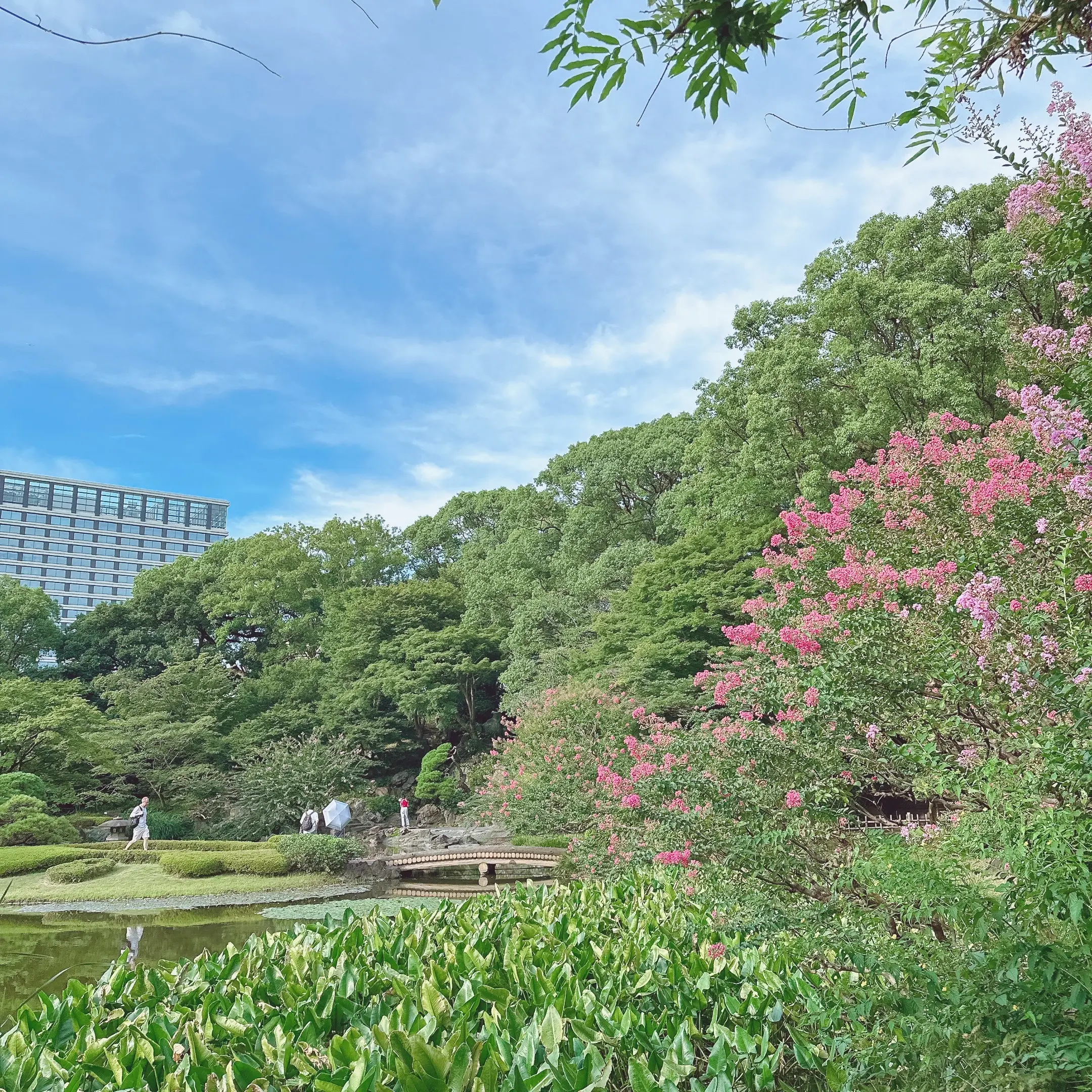 皇居東御苑の二の丸庭園