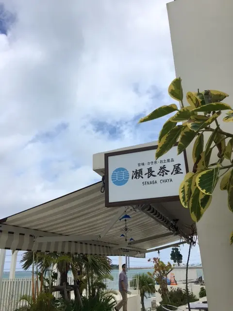 沖縄で出逢ったにゃんこ達_1_1-1