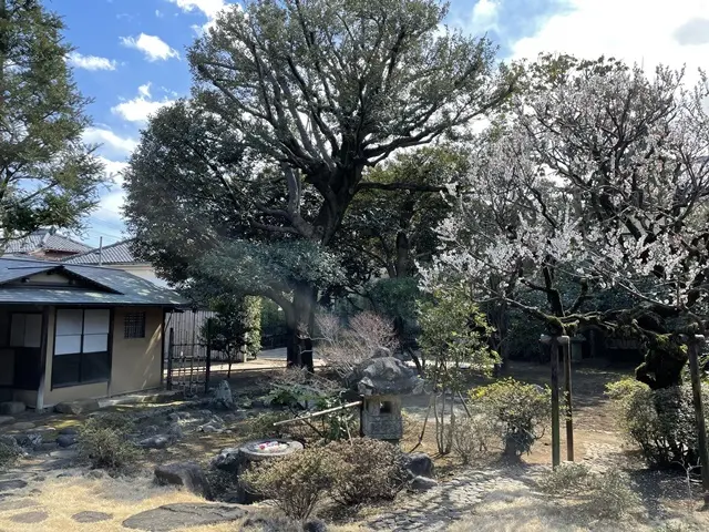 埼玉県川越市：旧山崎家別邸の庭