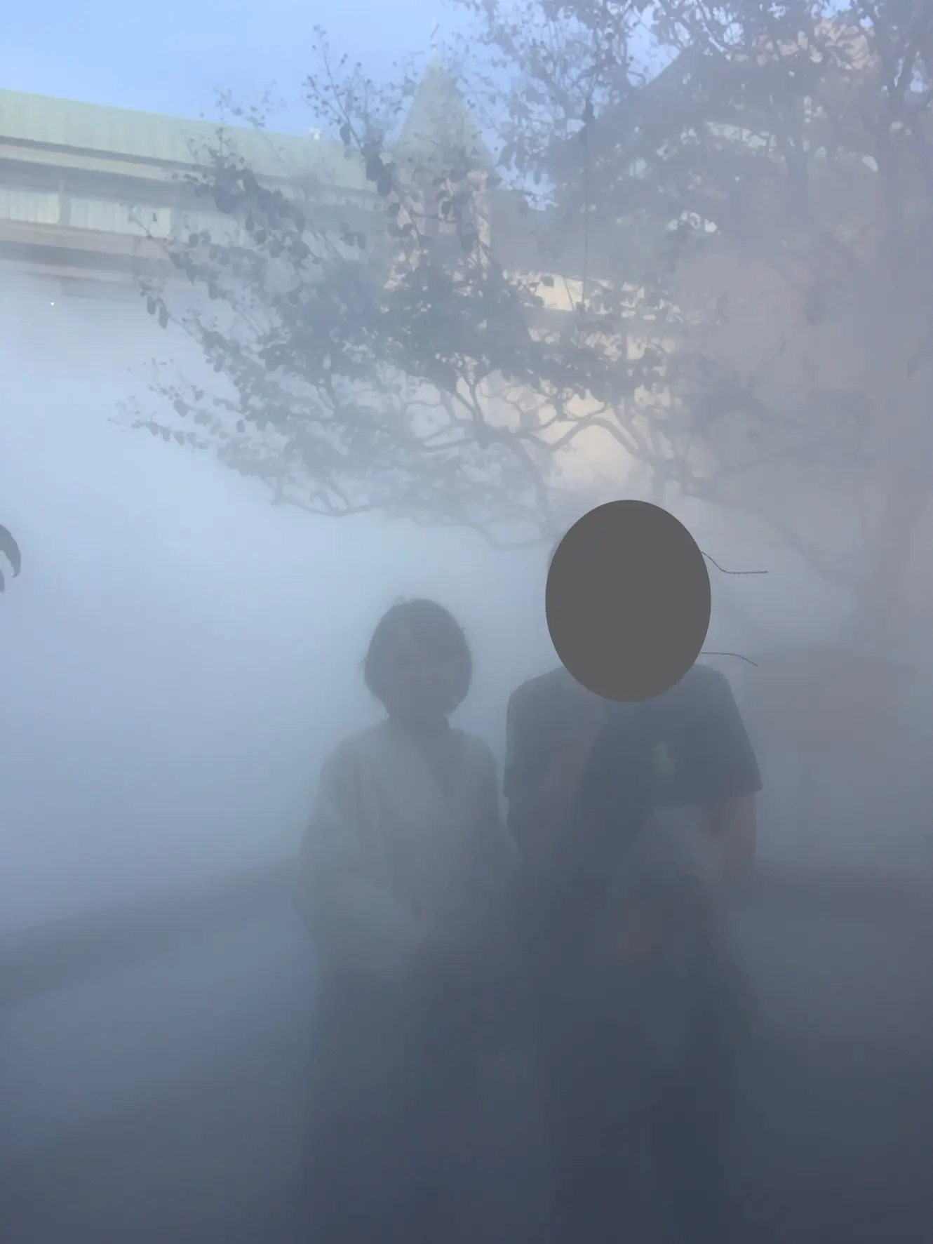 庭園を白い霧が埋め尽くす椿山荘の雲海