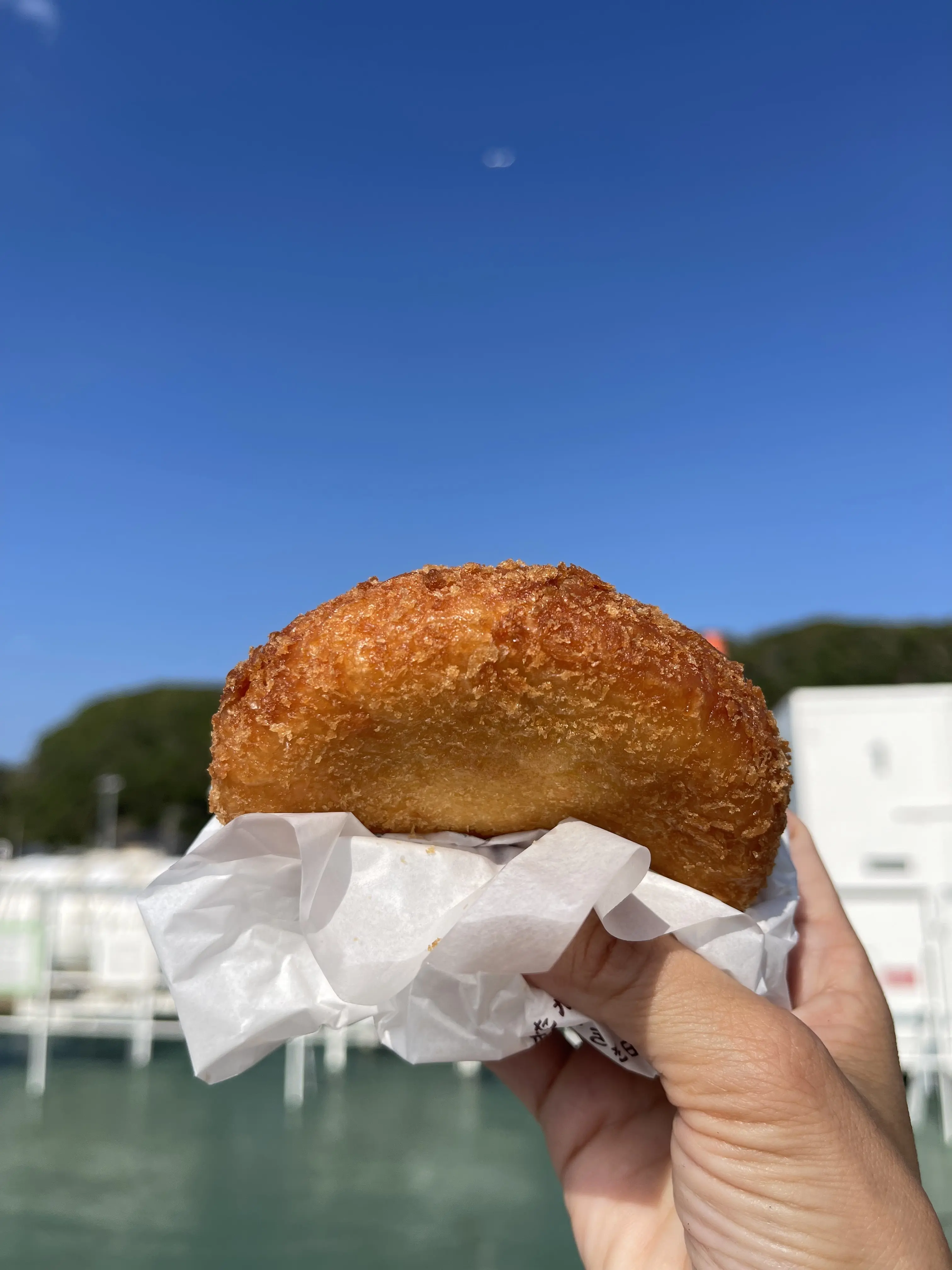 東京湾を渡る30分の船旅。愛犬と久里浜港からのプチトリップ 🛳️_1_13-2