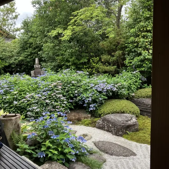京都の食とお庭を求めて弾丸旅。_1_10