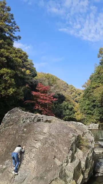 UNIQLO感謝祭戦利品とお気に入りスニーカーを身に付け秋を堪能@摂津峡_1_4