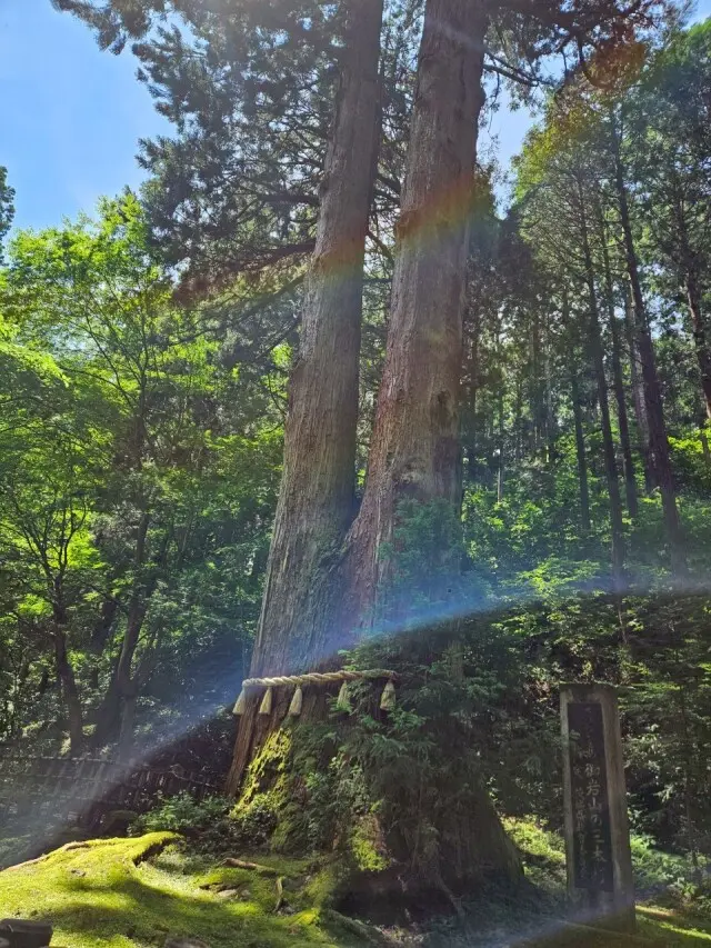 夏の茨城旅【後編】御岩神社から偕楽園、弘道館まで_1_4