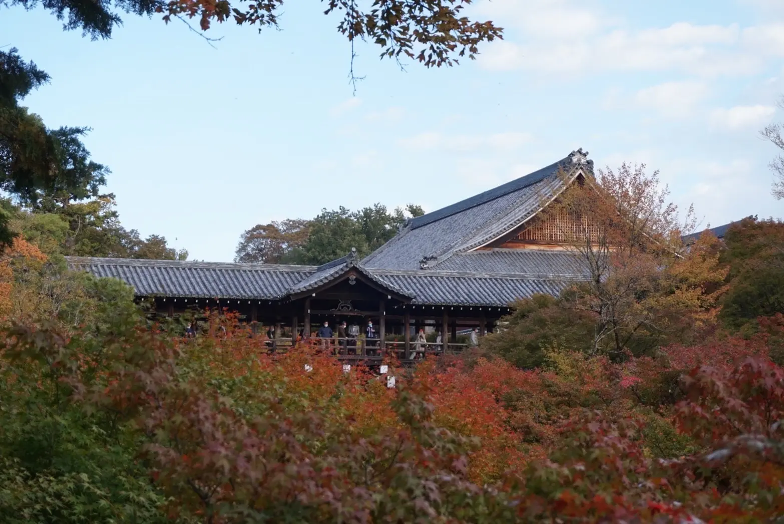 着物で秋の京都を愉しむ_1_7-2