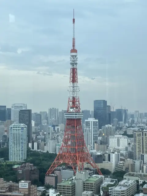 東京タワー目の前のおしゃれダイニング_1_4