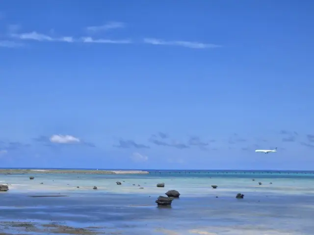 伊良部島で過ごす4度目の夏 私が帰りたくなる最愛の場所_1_16
