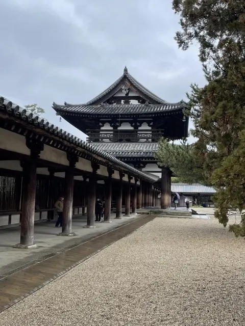息子と奈良・京都旅行Part２_1_4-1