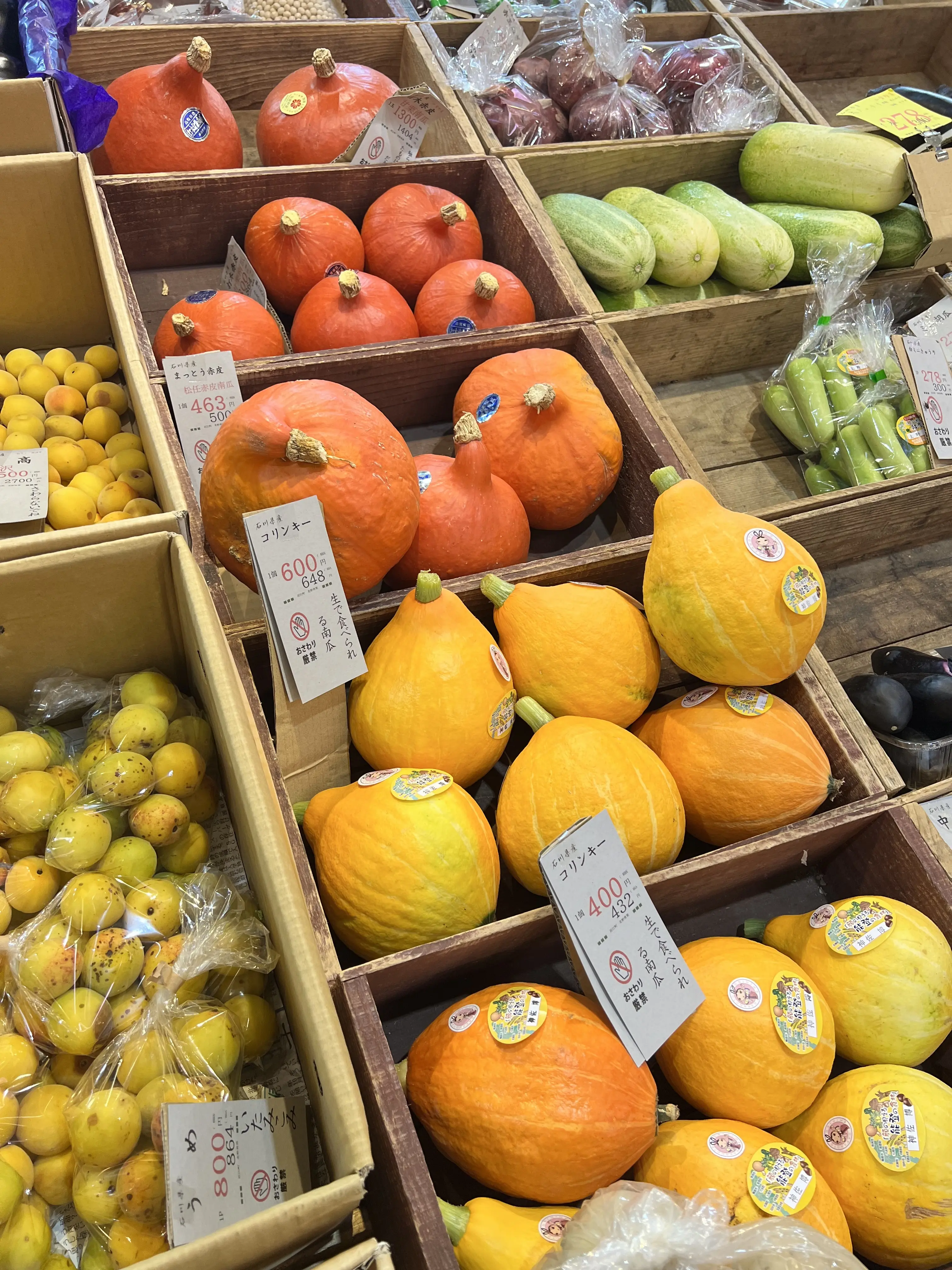 加賀野菜