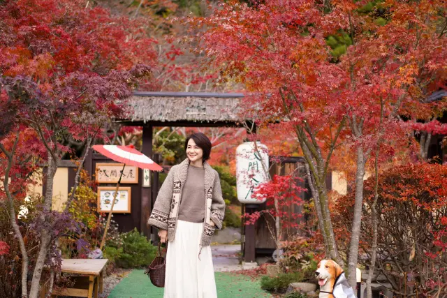 彩りの秋、紅葉真っ盛りの山中湖ドライブ♪熱々ほうとうや超人気カフェ♪_1_1