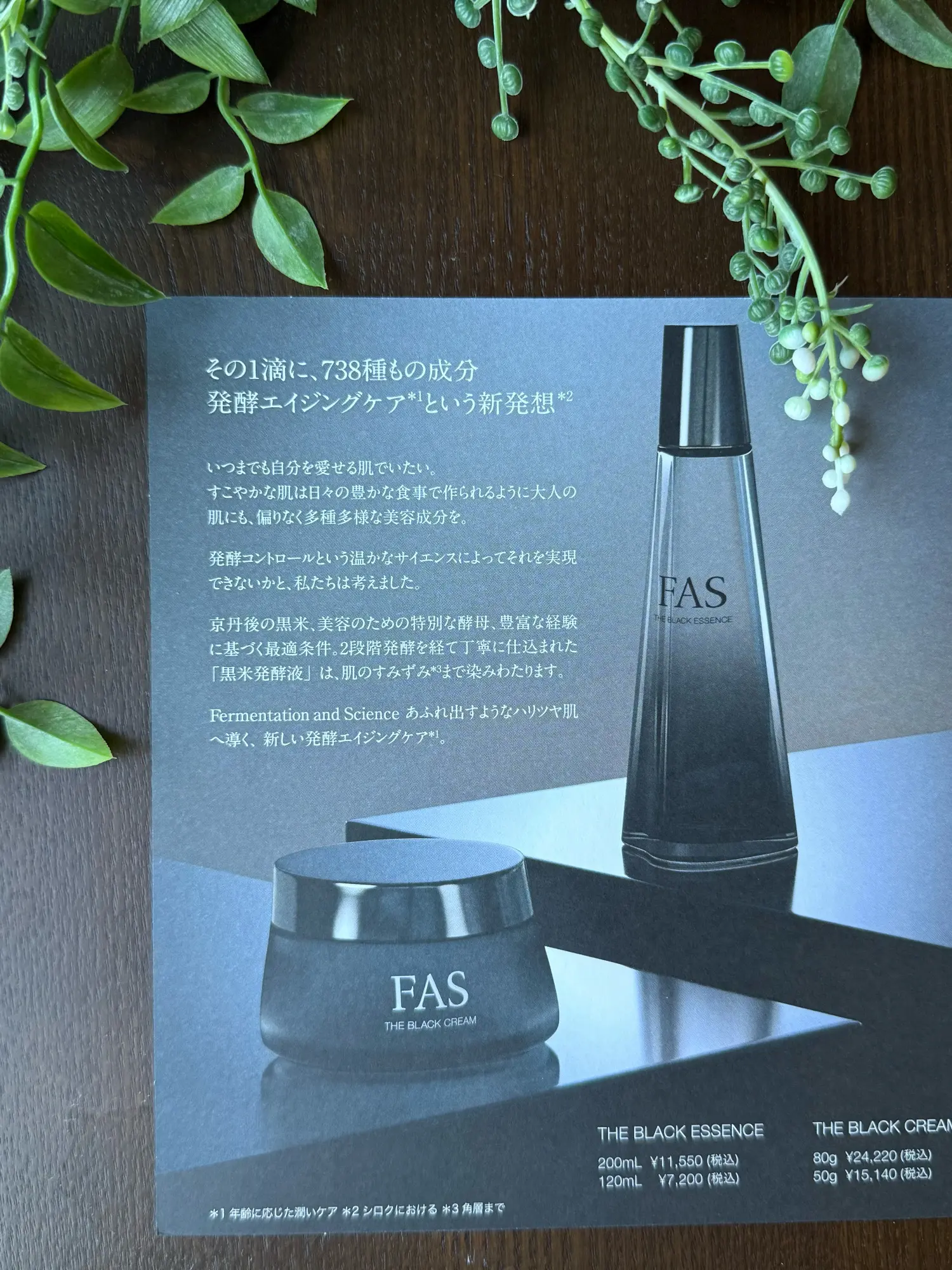 ブラックコーディネートでソワレ・ドゥ・エクラ 2025へ_1_41