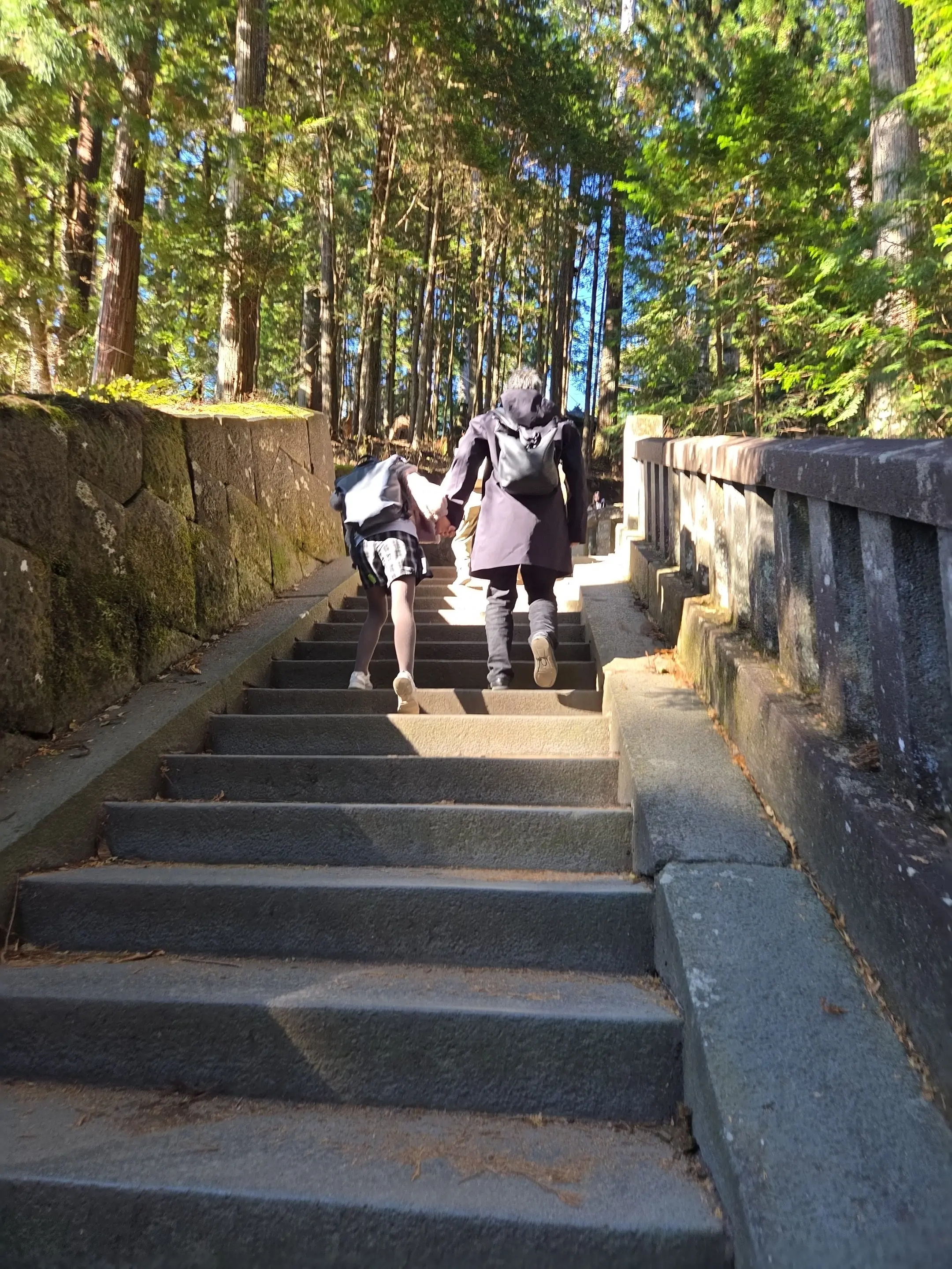 晩秋の日光・宇都宮旅 前編 世界遺産めぐり_1_11