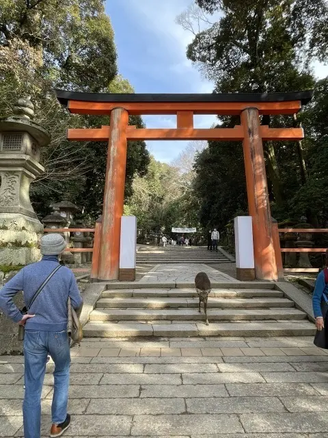 息子と奈良・京都旅行Part１_1_4-2