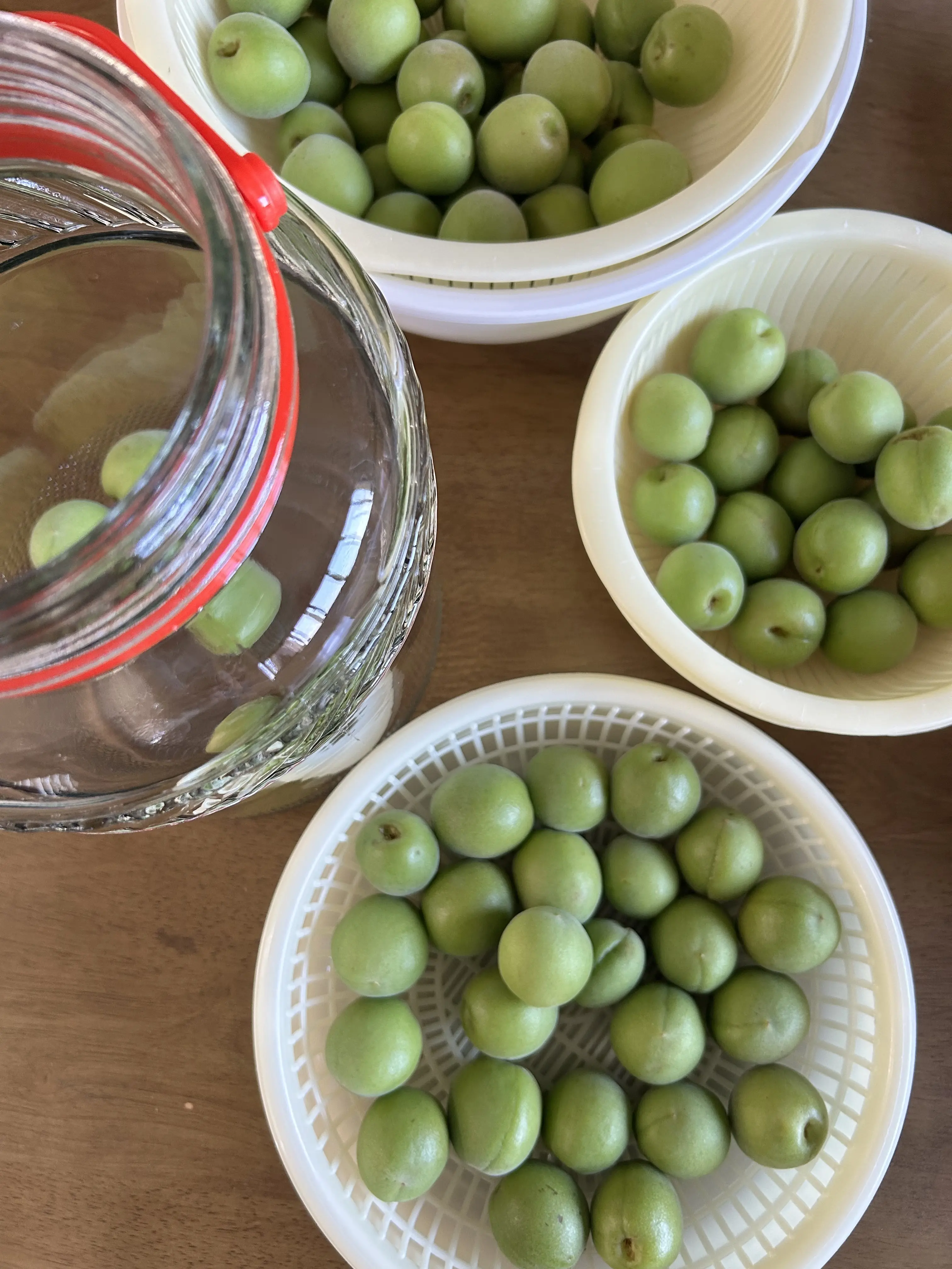 初夏の手仕事、今年も梅シロップを作りました_1_3