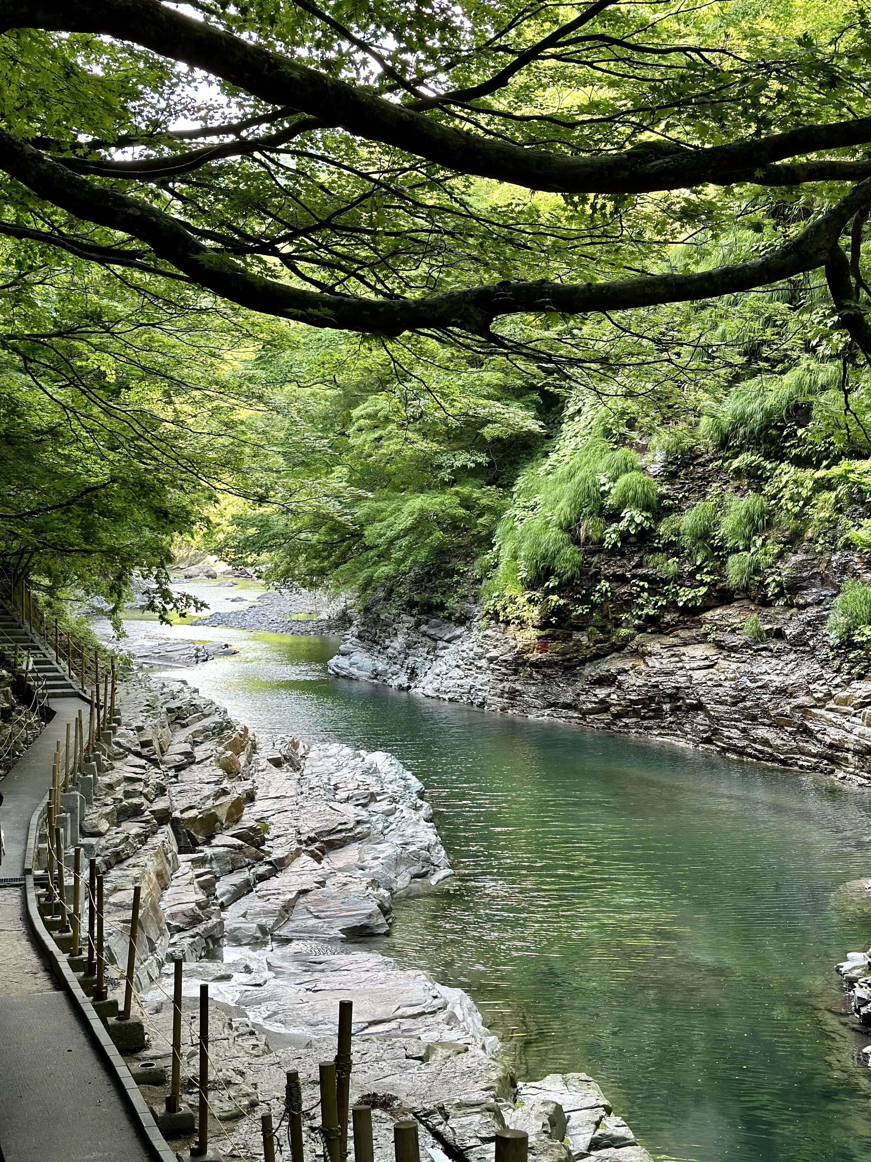 【秋田】雄大な自然と温泉を楽しむ旅ー秋田県小安峡温泉_1_31