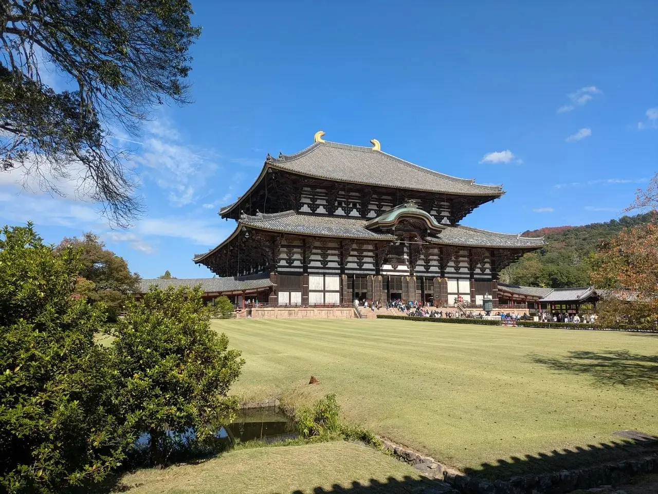 続) 秋の奈良　奈良散策と楽しいひととき♪