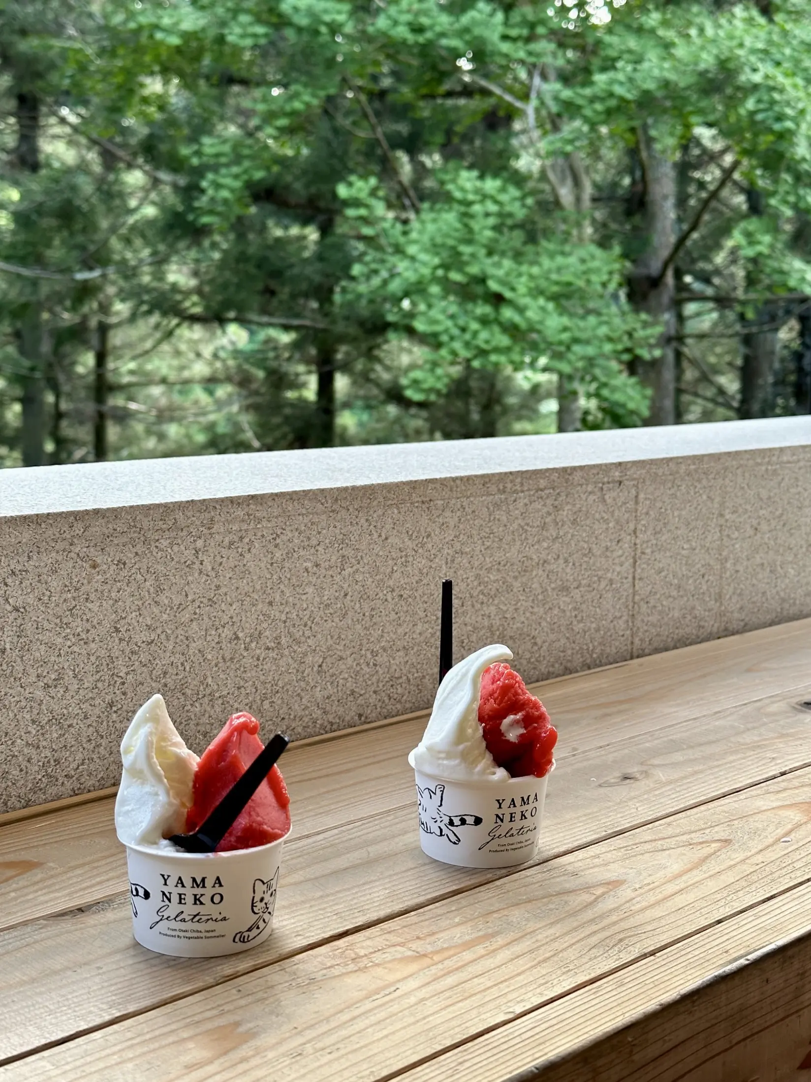 千葉県　観光名所　養老渓谷　滝　粟又の滝　ジェラードYAMANEKO　千葉県産　